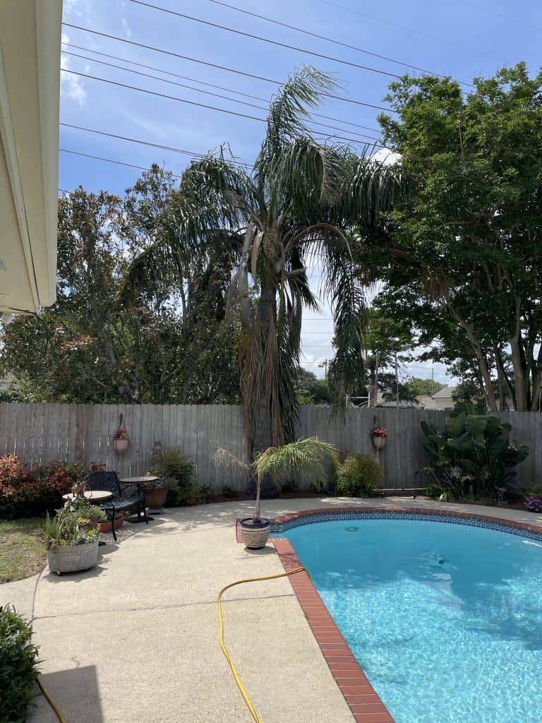 Tree and Stump Service in Destrehan