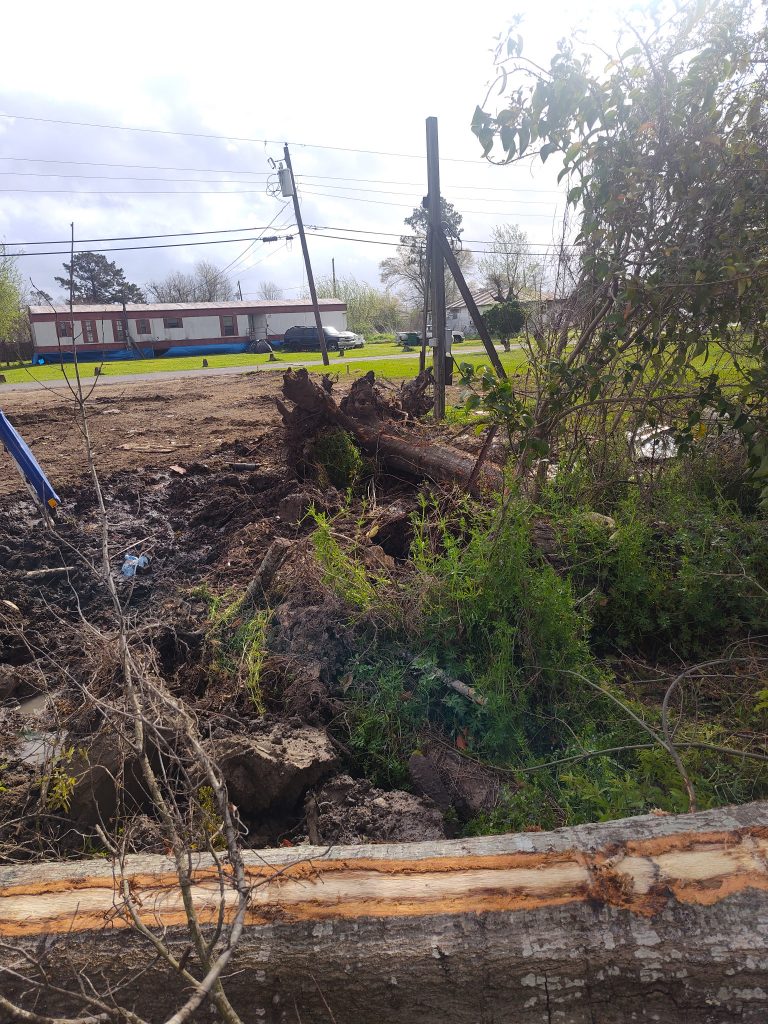 Tree and Stump Service in St. Rose