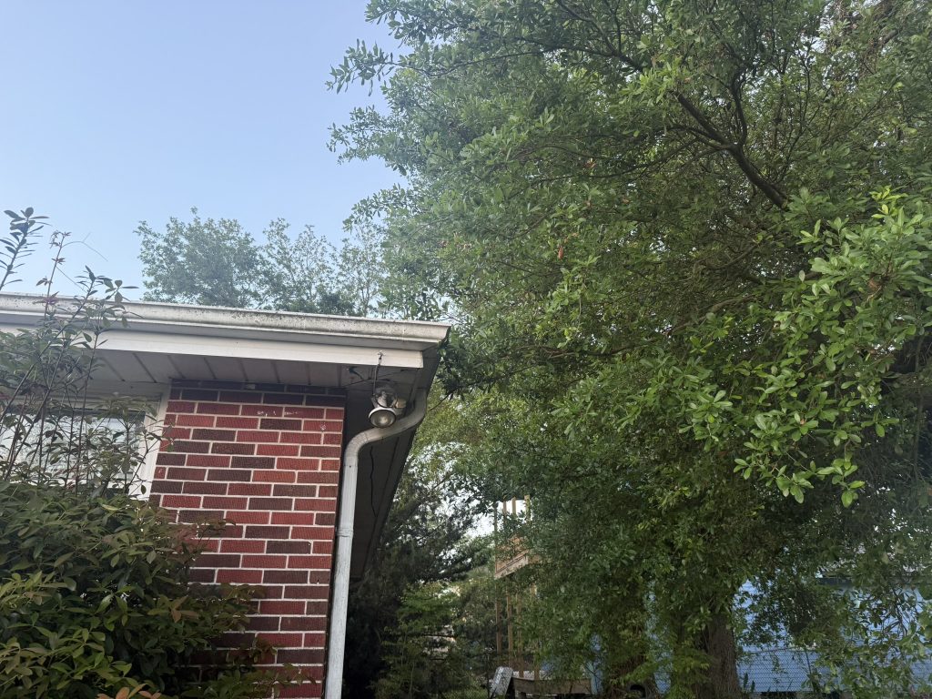 Tree and Stump Service in LaPlace