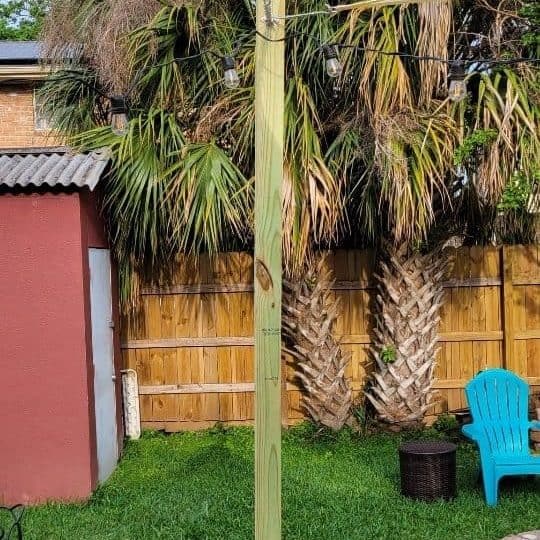 Tree and Stump Service in New Orleans